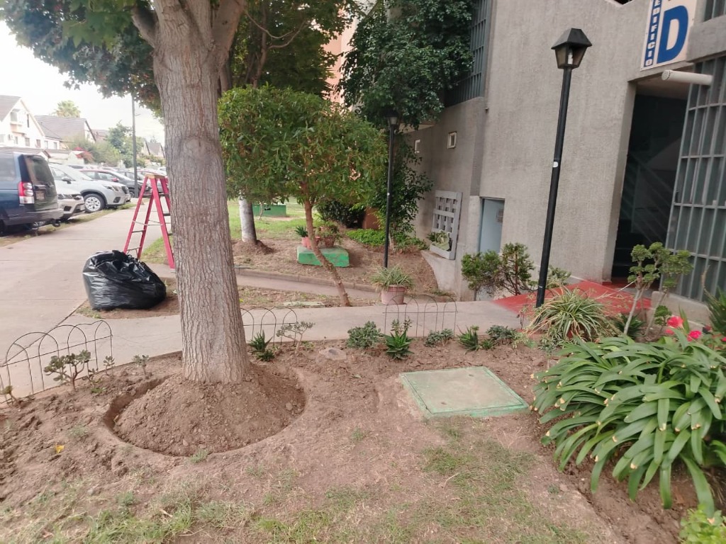 Trabajos de paisajismo y plantación